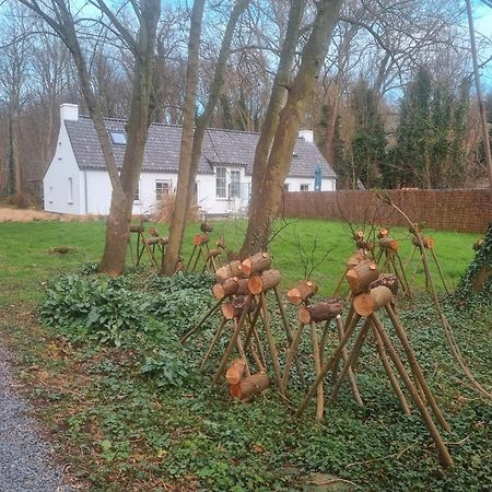 Houtsaegertje Villa De Panne Dış mekan fotoğraf